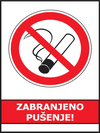 Decision on smoking ban